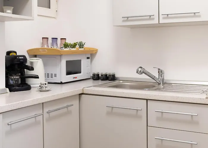 Apartament Deluxe Calea Victoriei ,ateneul Român, Old