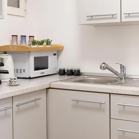 公寓 Deluxe Calea Victoriei ,ateneul Roman, Old